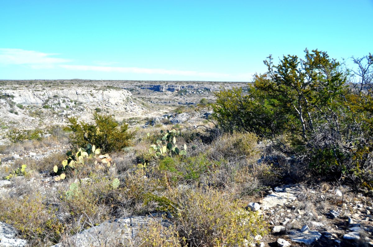 Pecos Canyon Ranch | Texas Ranch for Sale