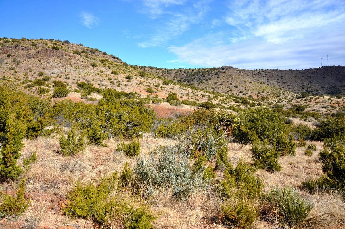 Pinon Nm Ranch For Sale at Thomas Coleman blog