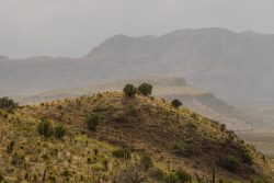 Photo of Black Hills Ranch, view of Chinati Mountains from Cerros Prietos