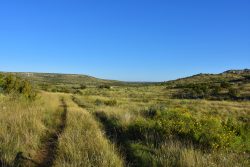 Photo of High Mesa Ranch, grassland with ranch road