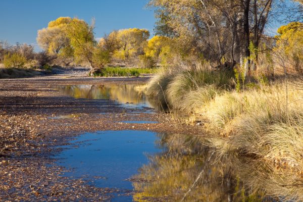 Kennedy Ranch | Texas Ranch for Sale