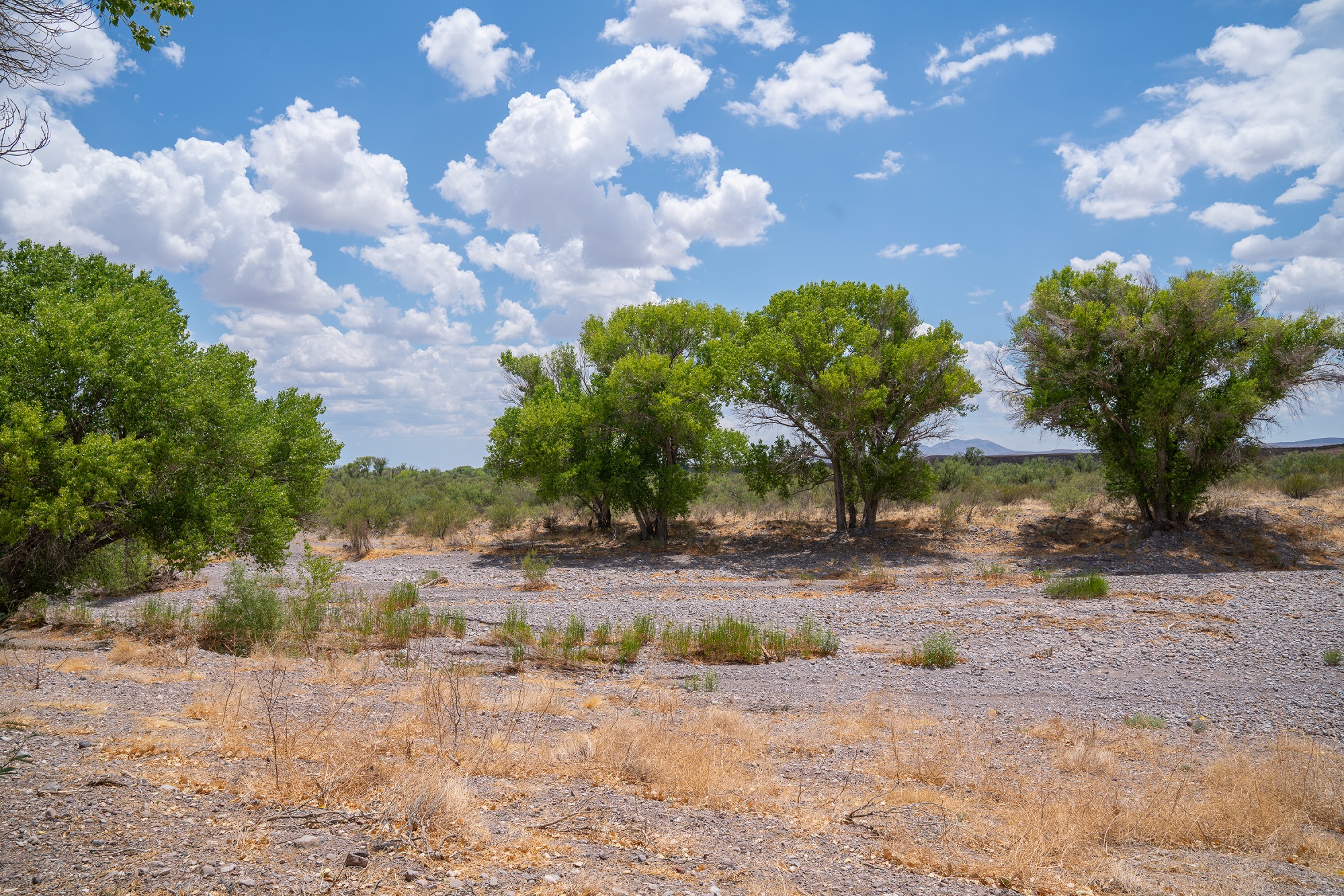 Alamito Hills Ranch for Sale | Texas Ranch Real Estate