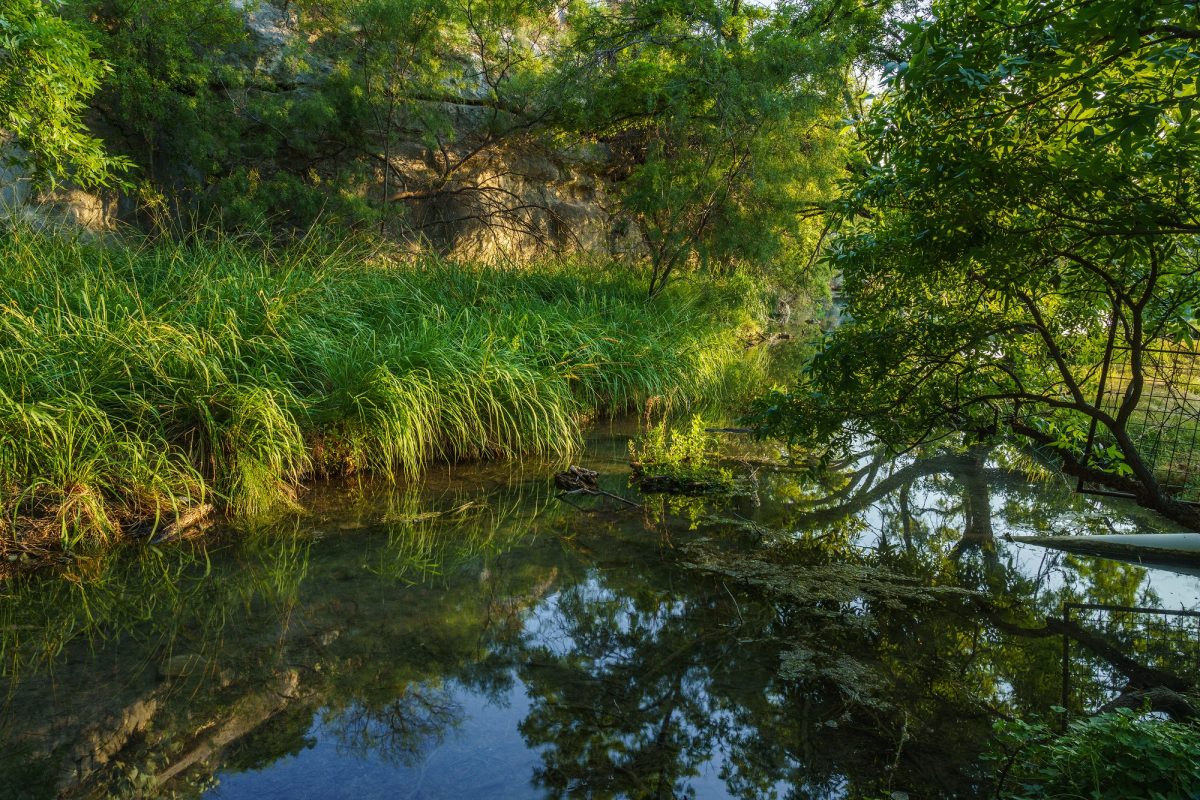 Sweetwater Springs Ranch - King Land & Water