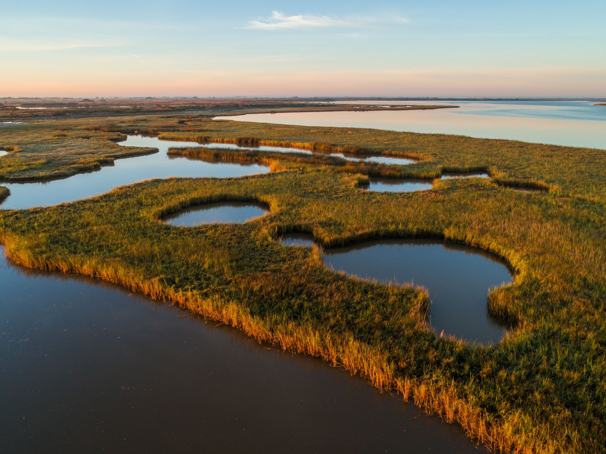 Tidal marsh and ponds along Matagorda Bay on Powderhorn Ranch